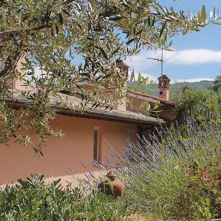 Tuscany Roses Ареццо Экстерьер фото