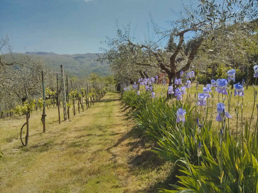 Tuscany Roses Ареццо Экстерьер фото