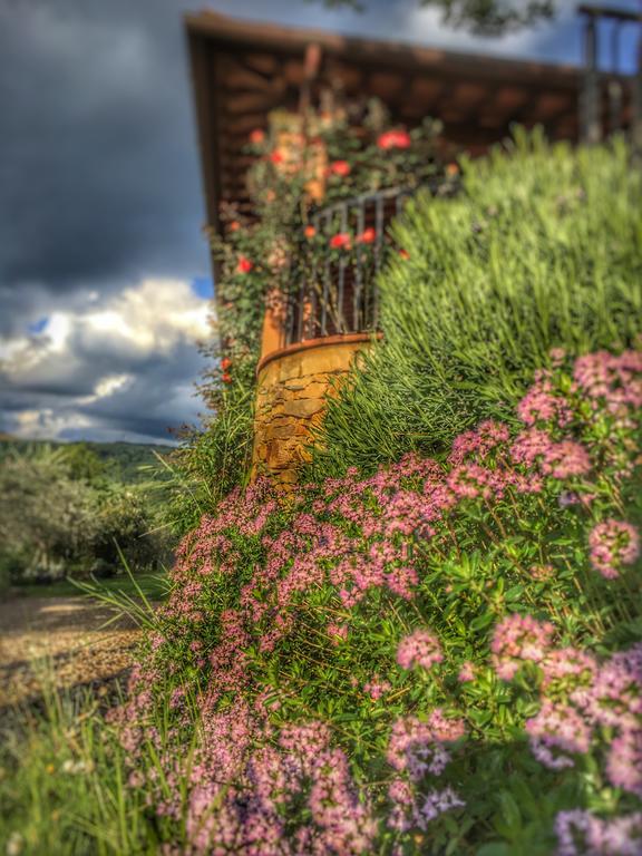 Tuscany Roses Ареццо Экстерьер фото